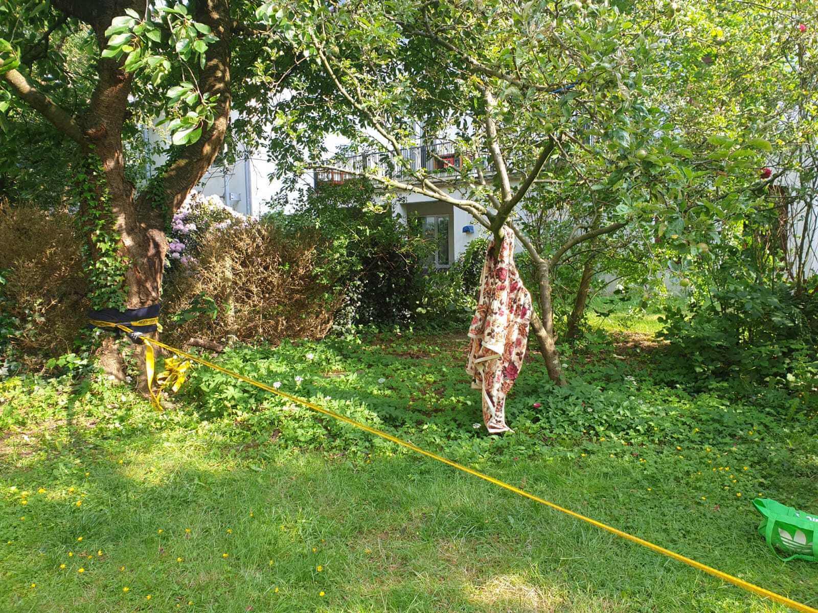 A view of the garden