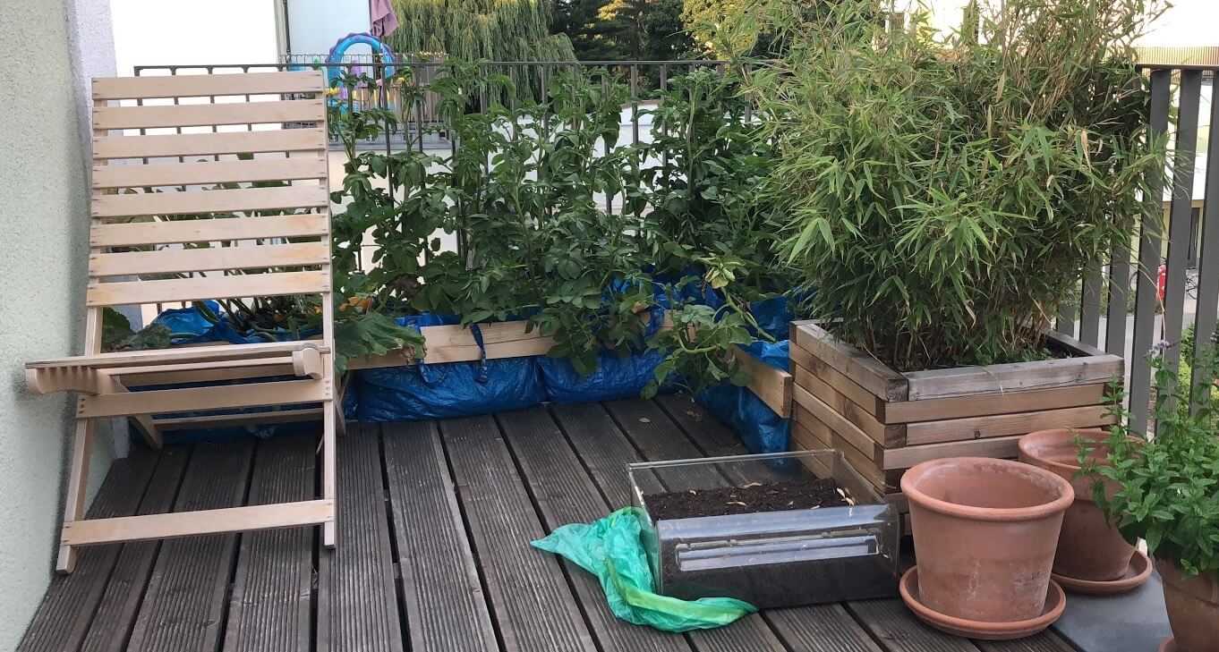 permaculture on a balcony