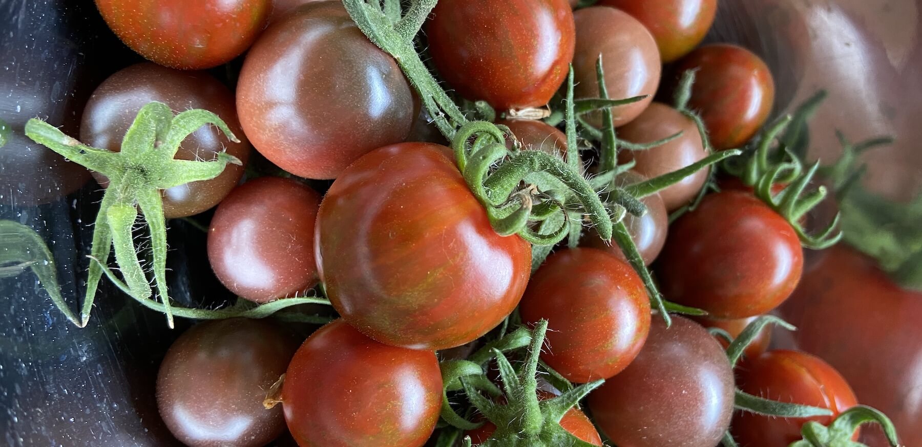 Permapeople tomatoes in a bowl