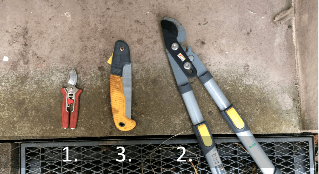 Pruning tools